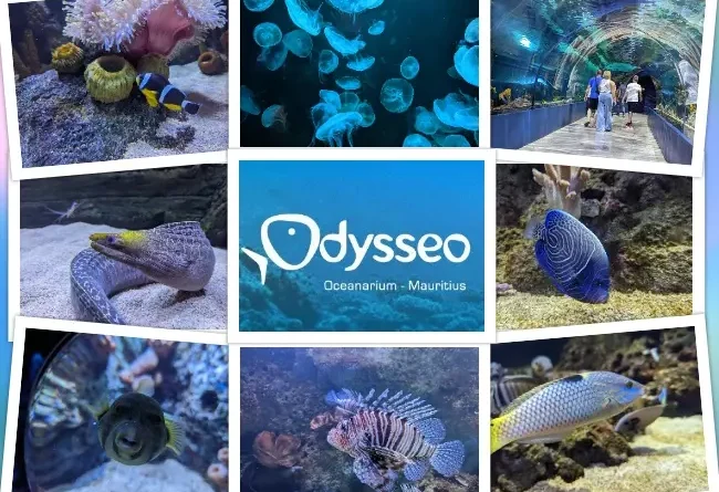 Odysseo Oceanarium Mauritius