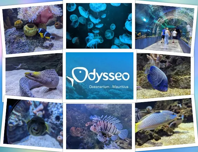 Odysseo Oceanarium Mauritius