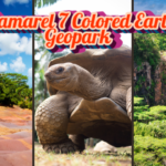 Chamarel 7 Colored Earth Geopark and waterfall