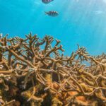 Blue bay marina park