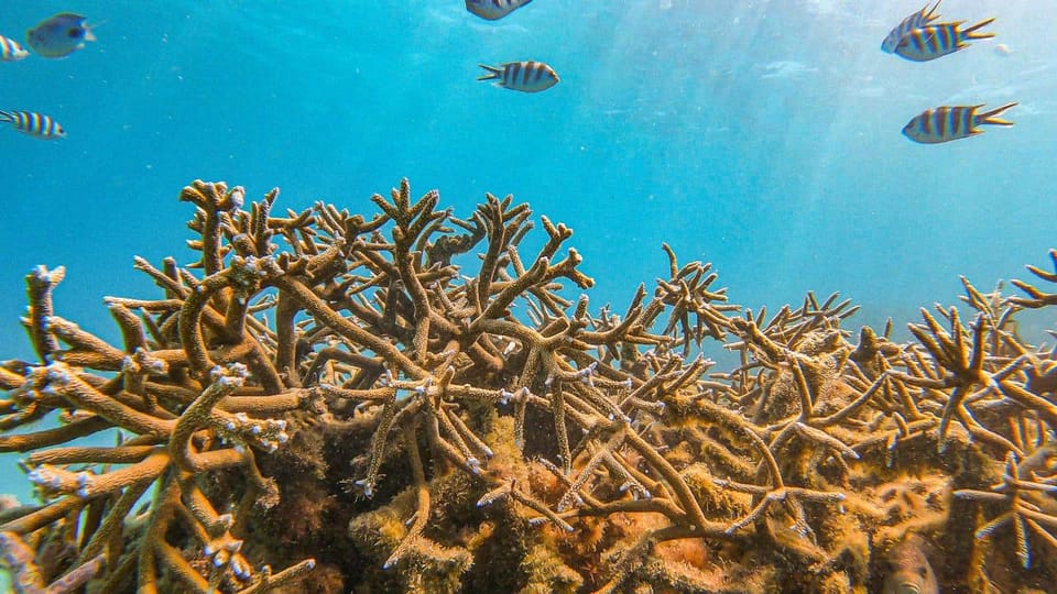 Blue bay marina park