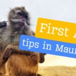 First Aid tips in Mauritius