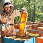 Shangri-La Le Touessrok Leads the Way in Sustainability with Expanded Beehive Project